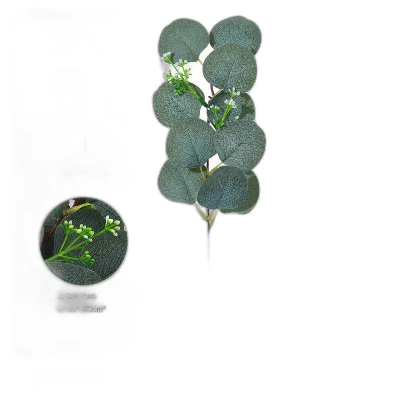 cleaned variant image