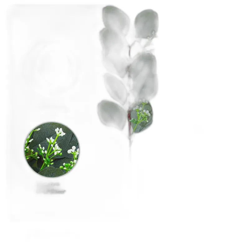 cleaned variant image