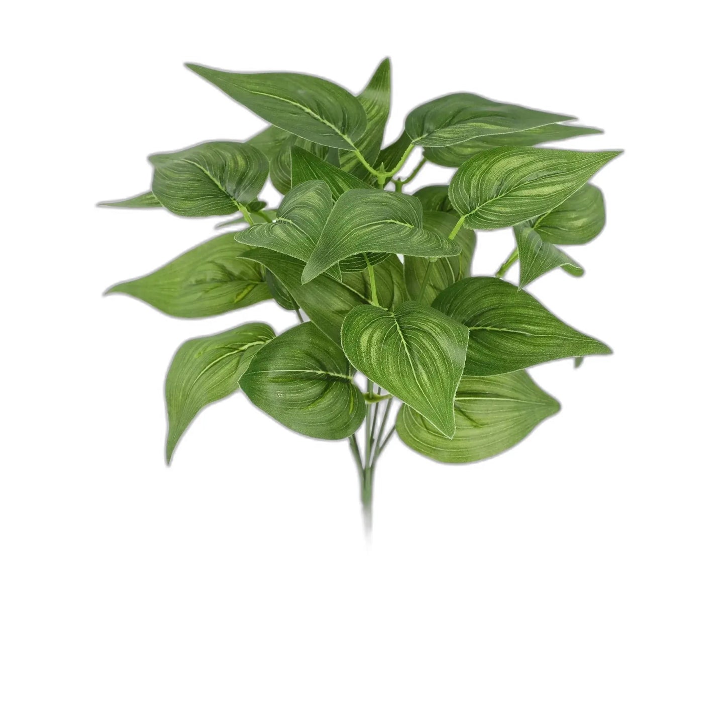 cleaned variant image