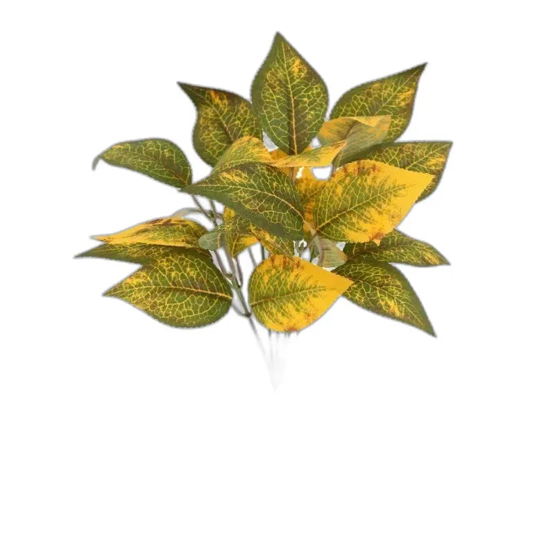 cleaned variant image