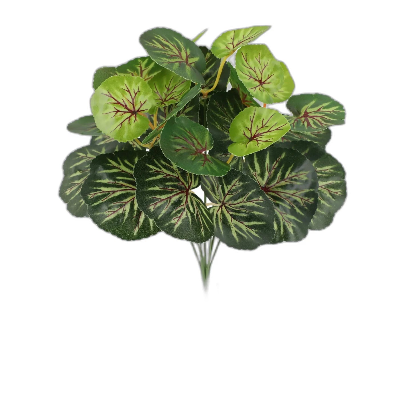 cleaned variant image