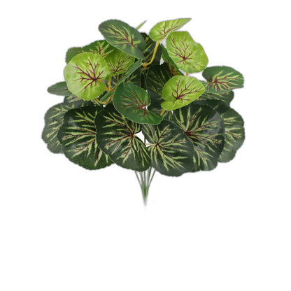 Cleaned variant image