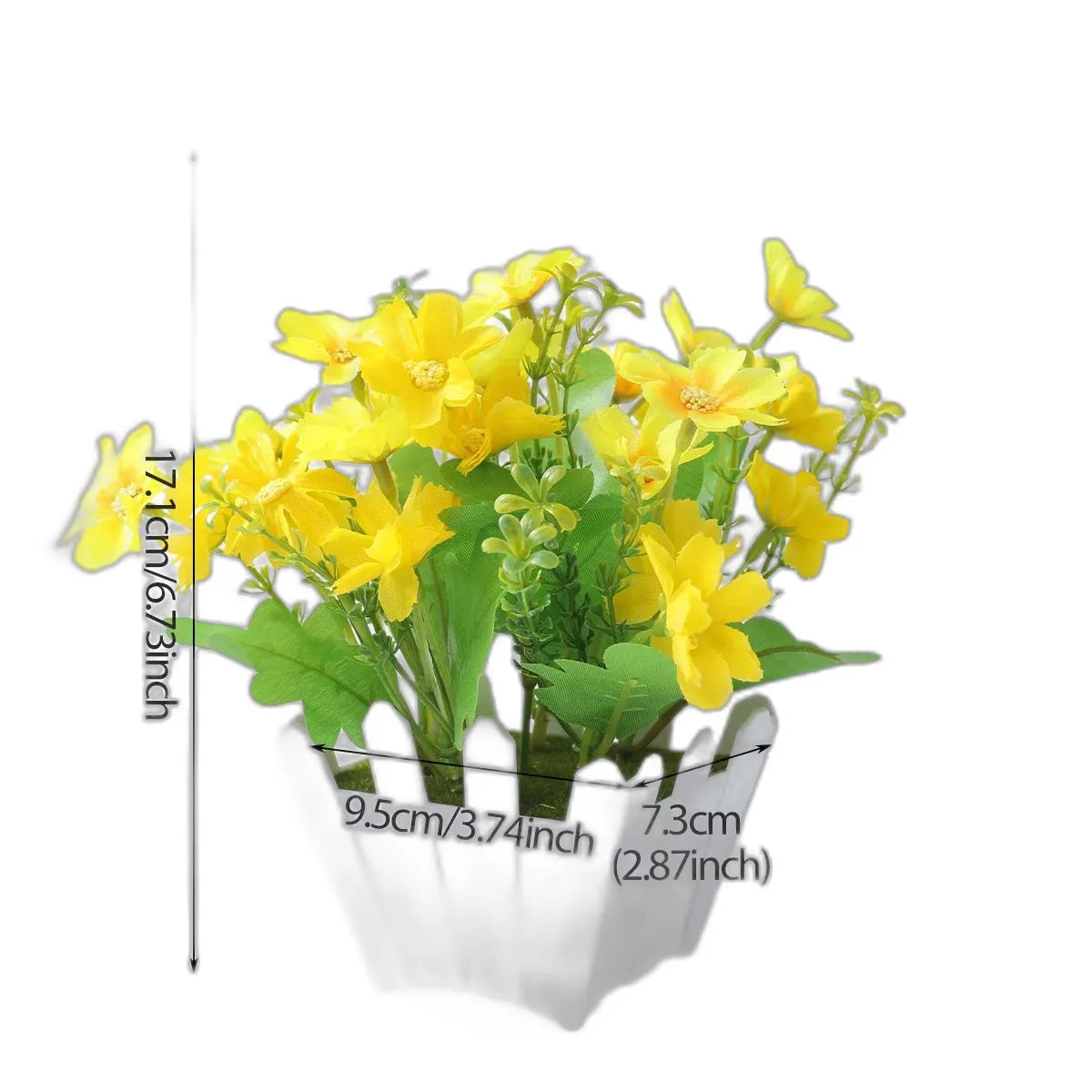 cleaned variant image