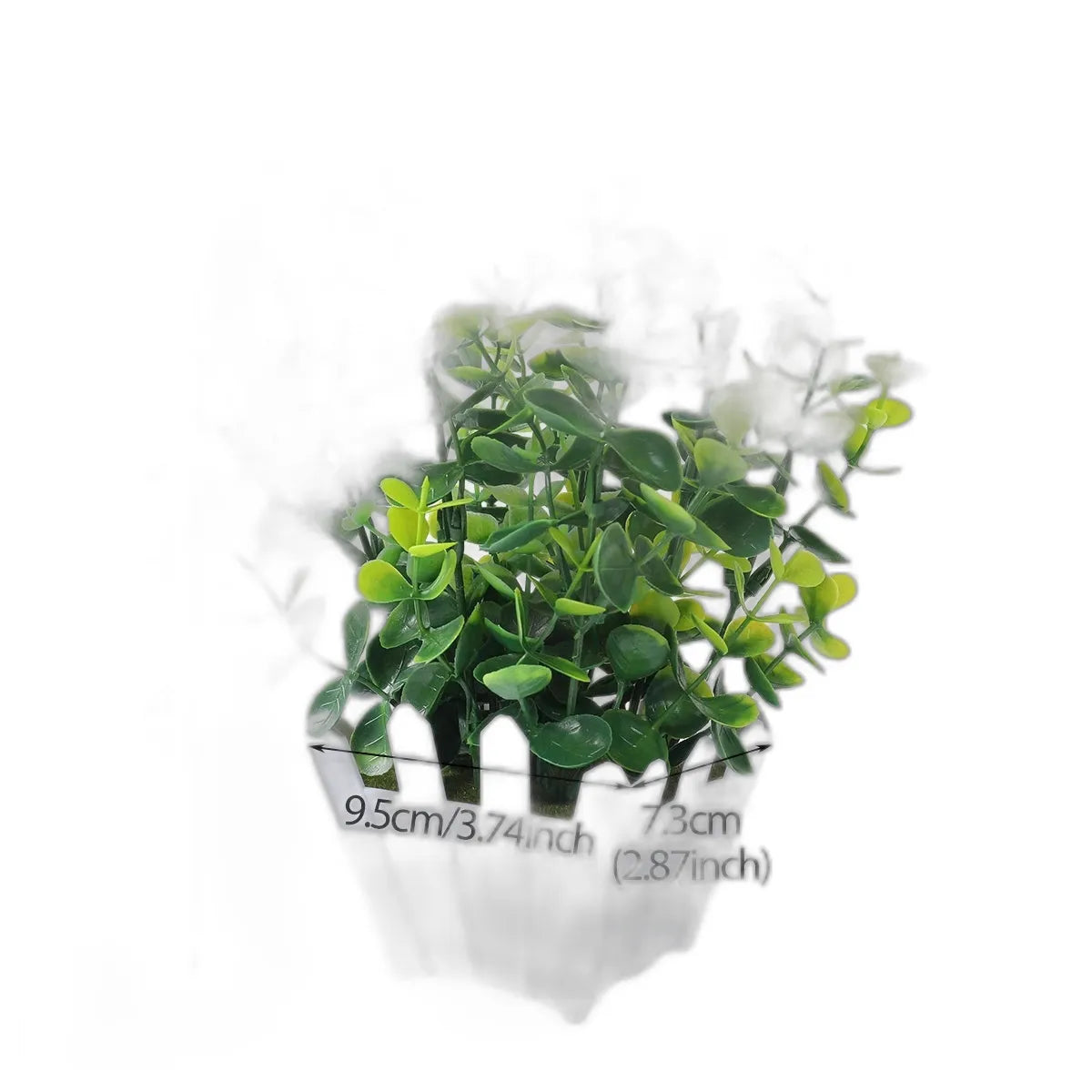 cleaned variant image