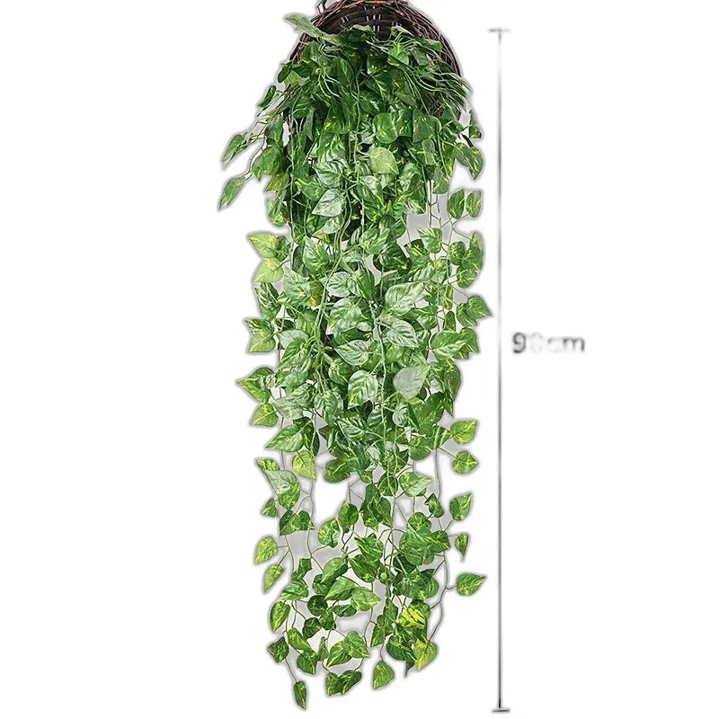 cleaned variant image