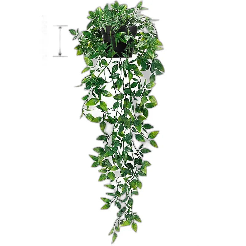 cleaned variant image