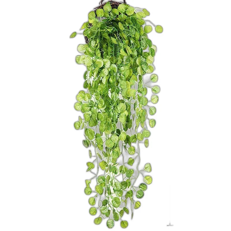 cleaned variant image