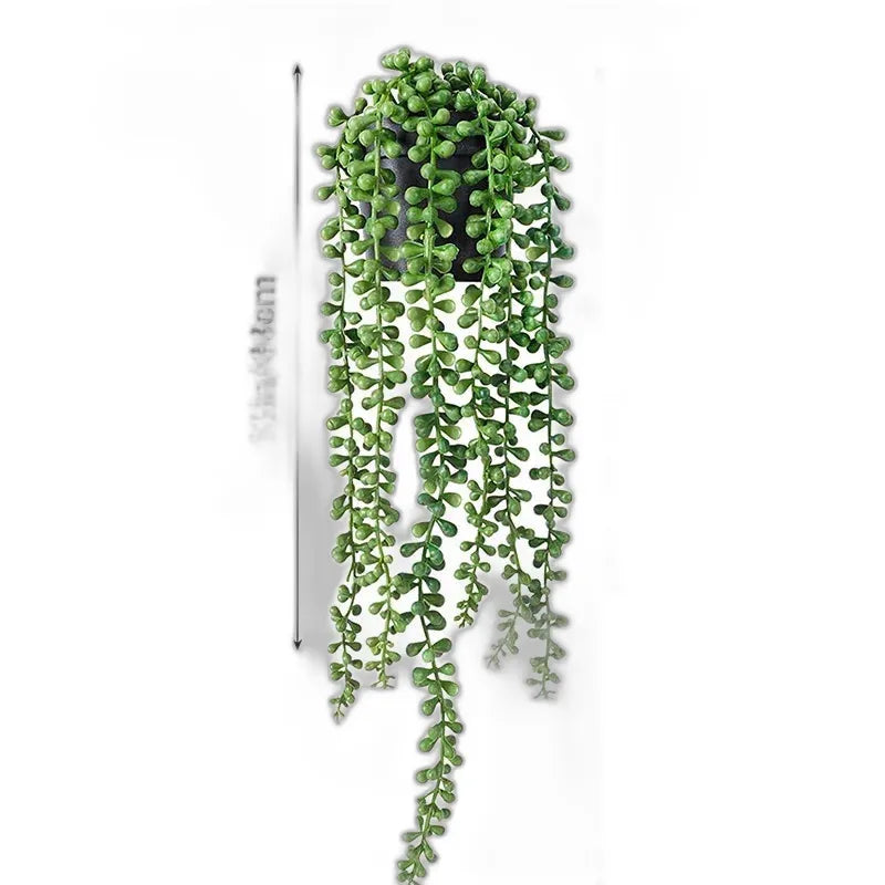 cleaned variant image