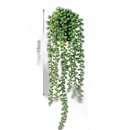 Cleaned variant image