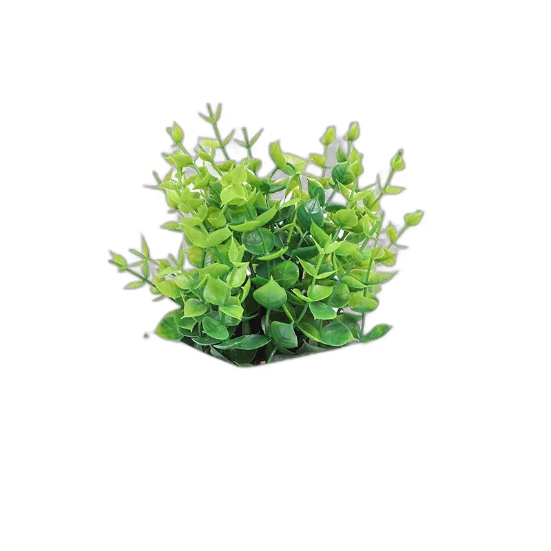 cleaned variant image