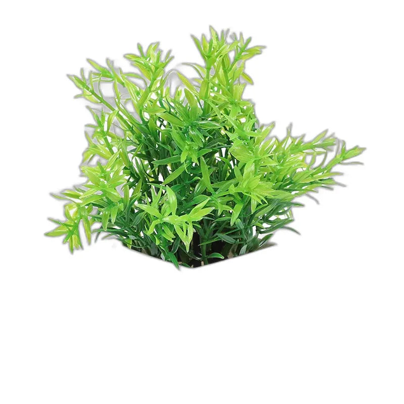 cleaned variant image