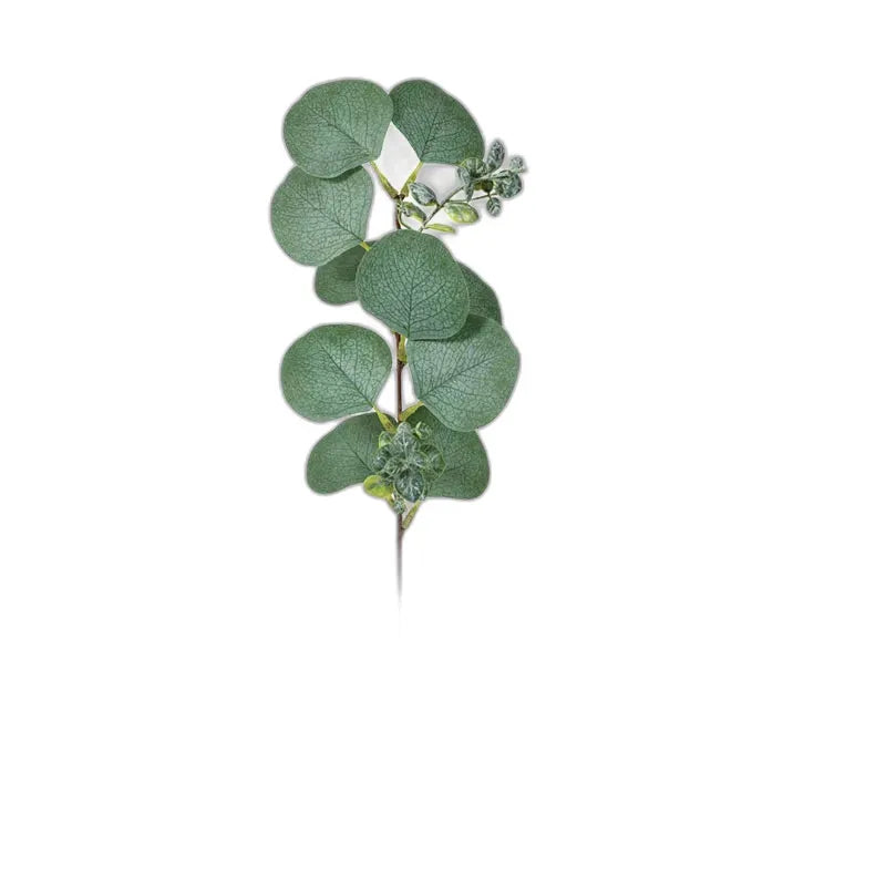 cleaned variant image