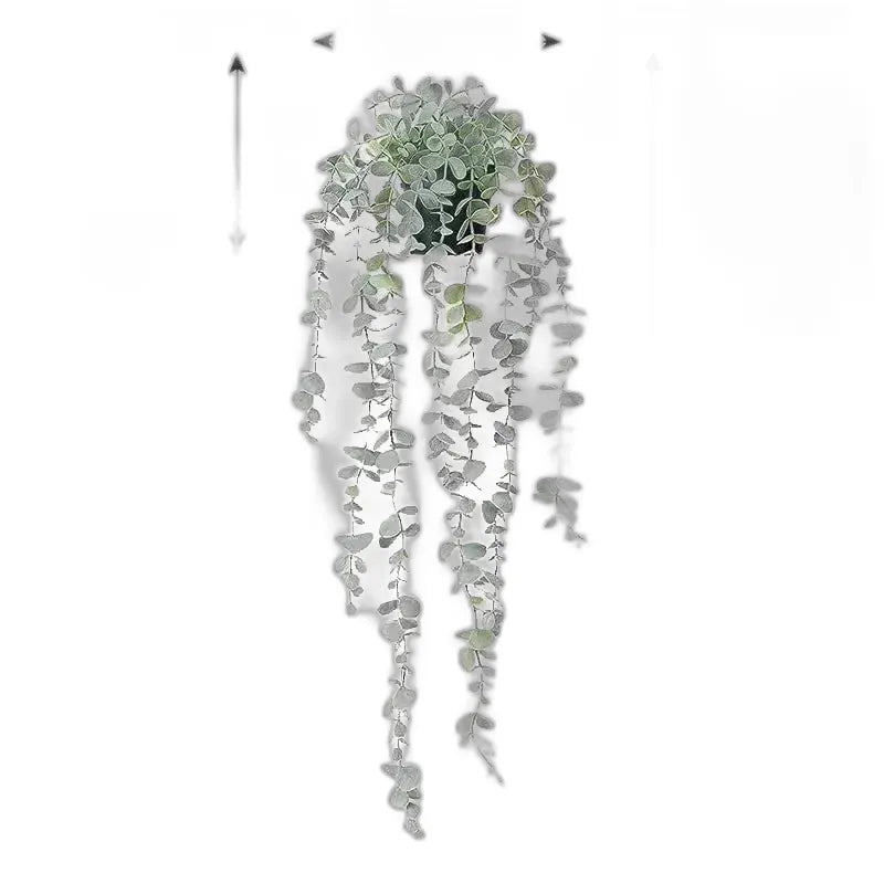 cleaned variant image