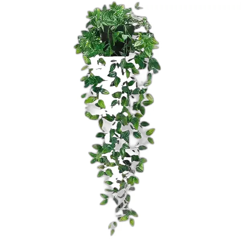 cleaned variant image