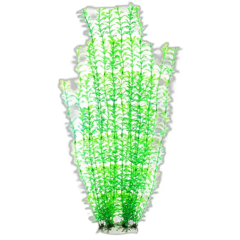 cleaned variant image