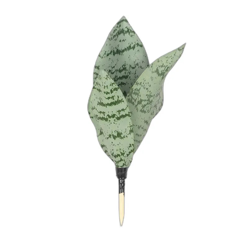 cleaned variant image