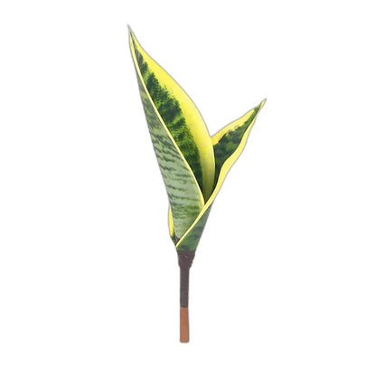 Cleaned variant image