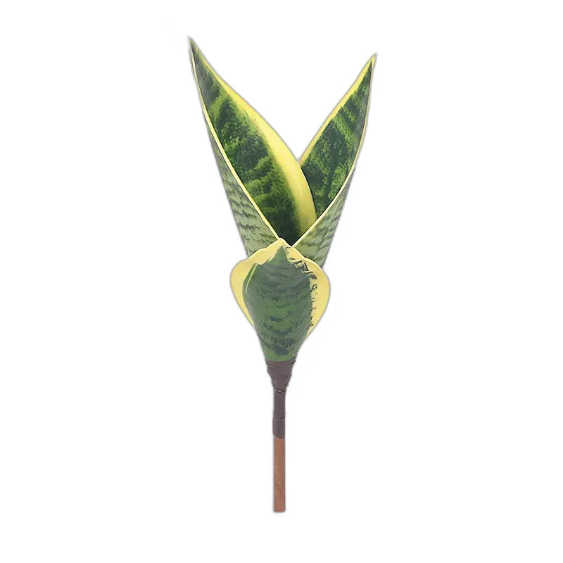 cleaned variant image