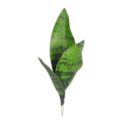 Cleaned variant image