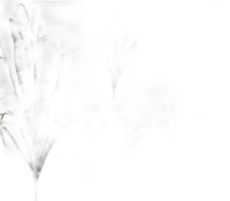 cleaned variant image