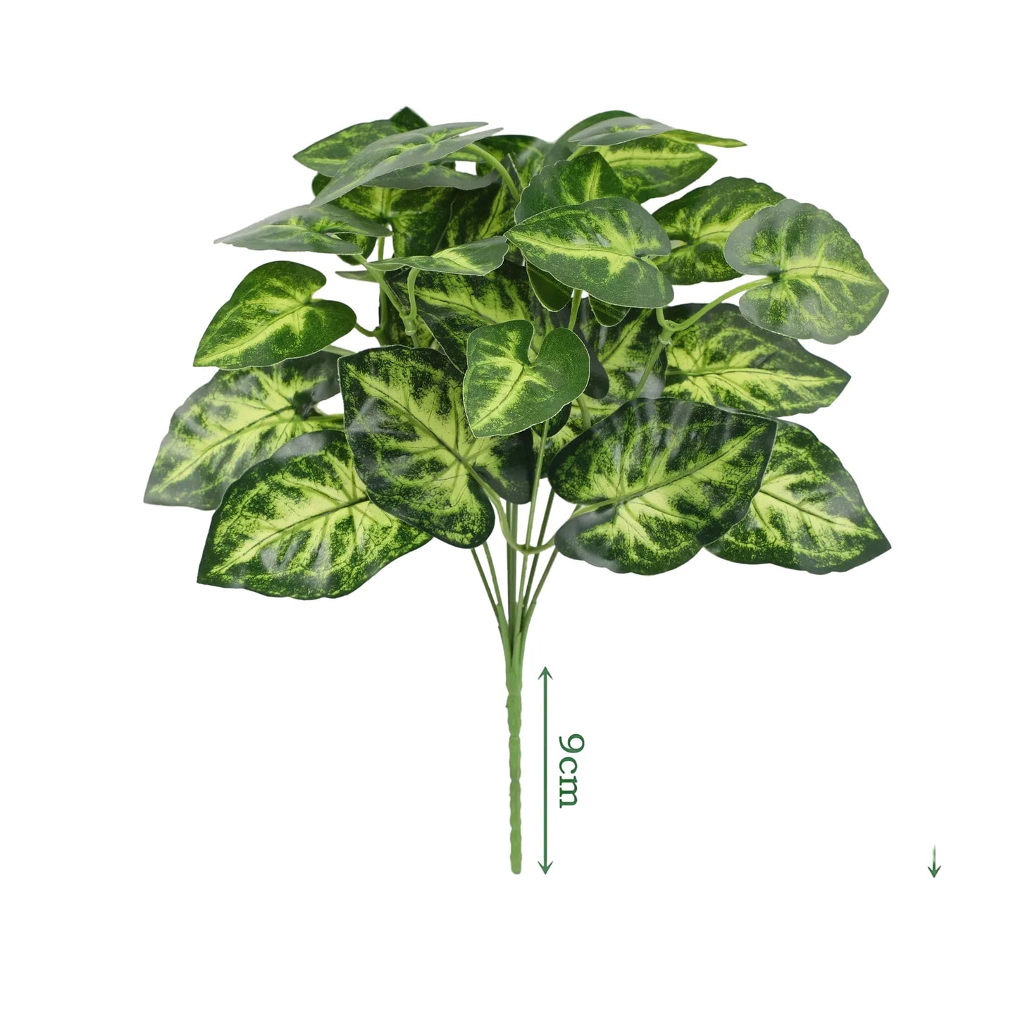 cleaned variant image