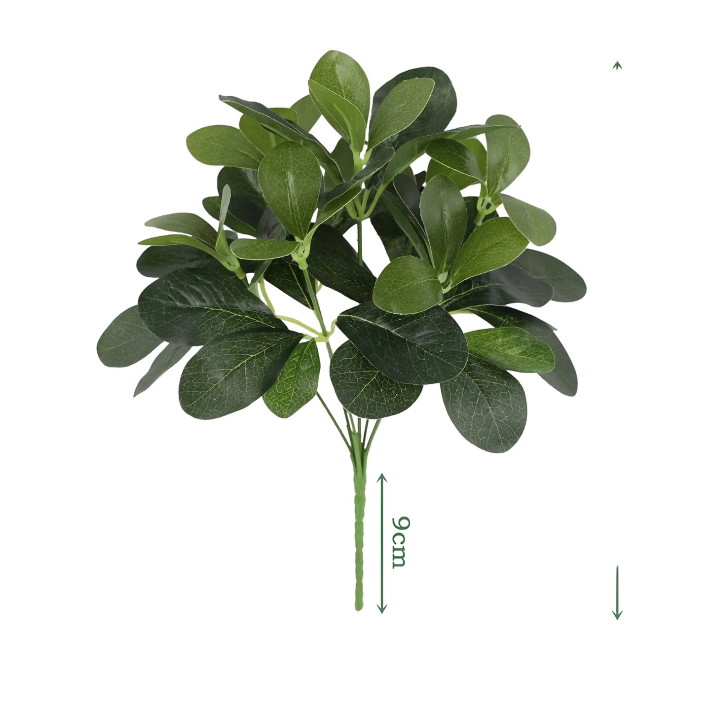 cleaned variant image