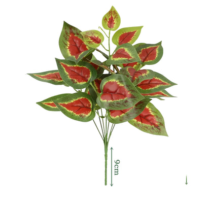 Cleaned variant image