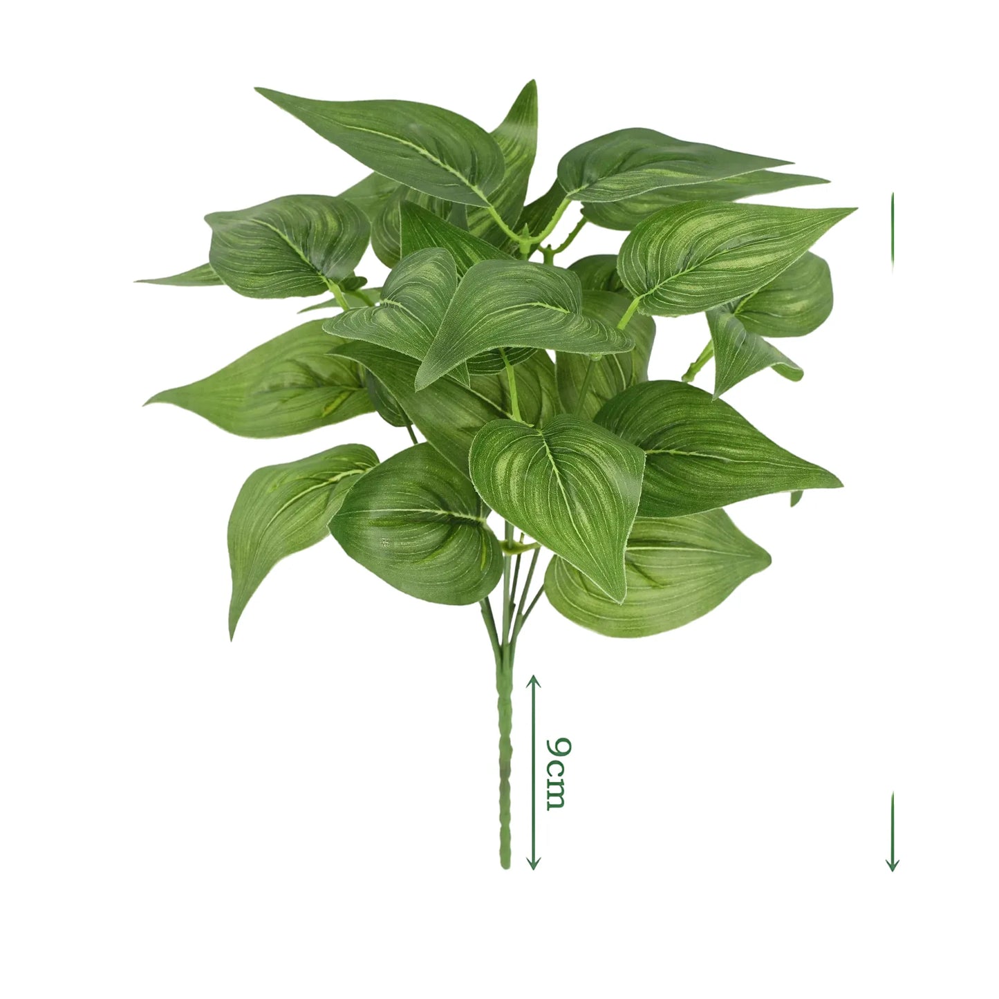 cleaned variant image