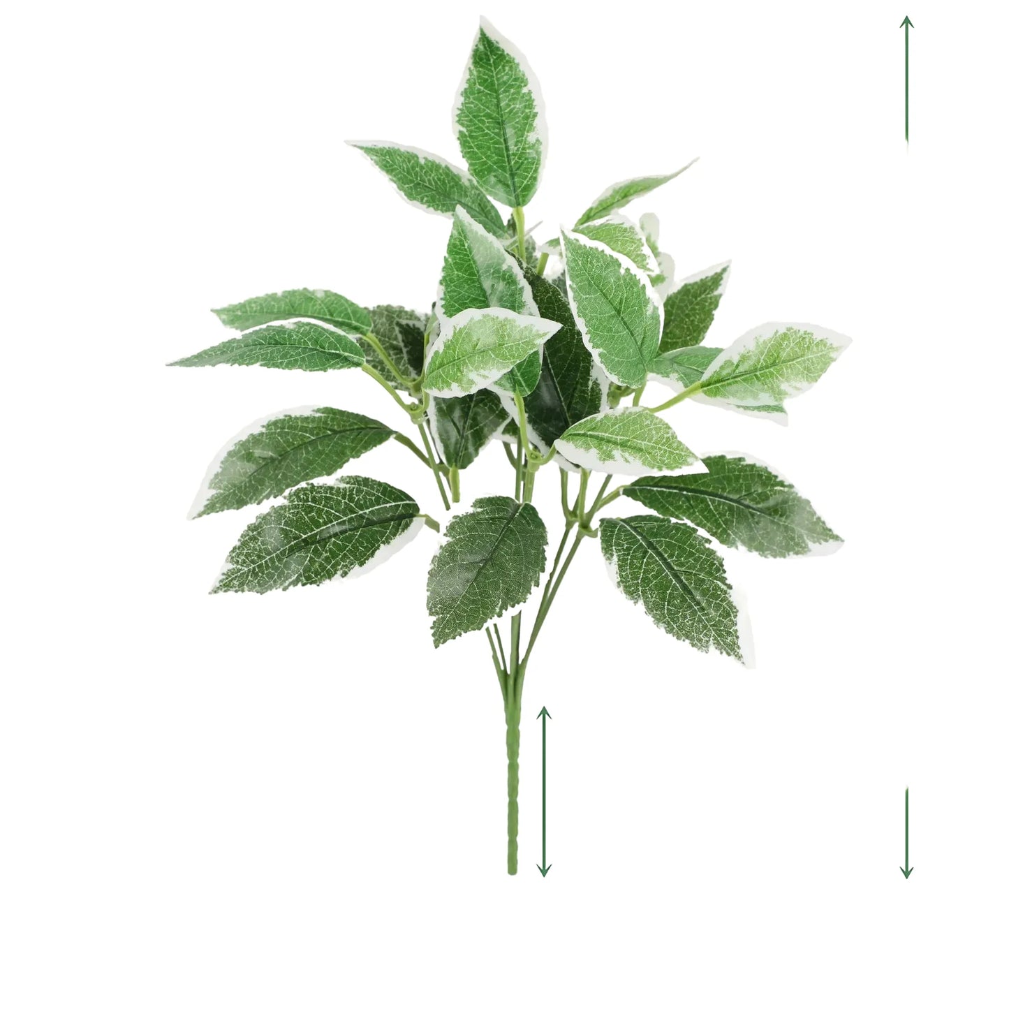 cleaned variant image