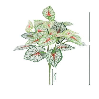 Cleaned variant image