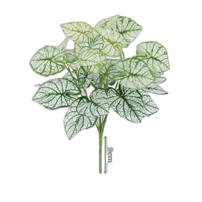 Cleaned variant image