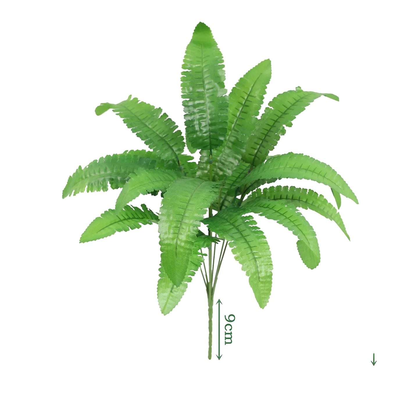 cleaned variant image