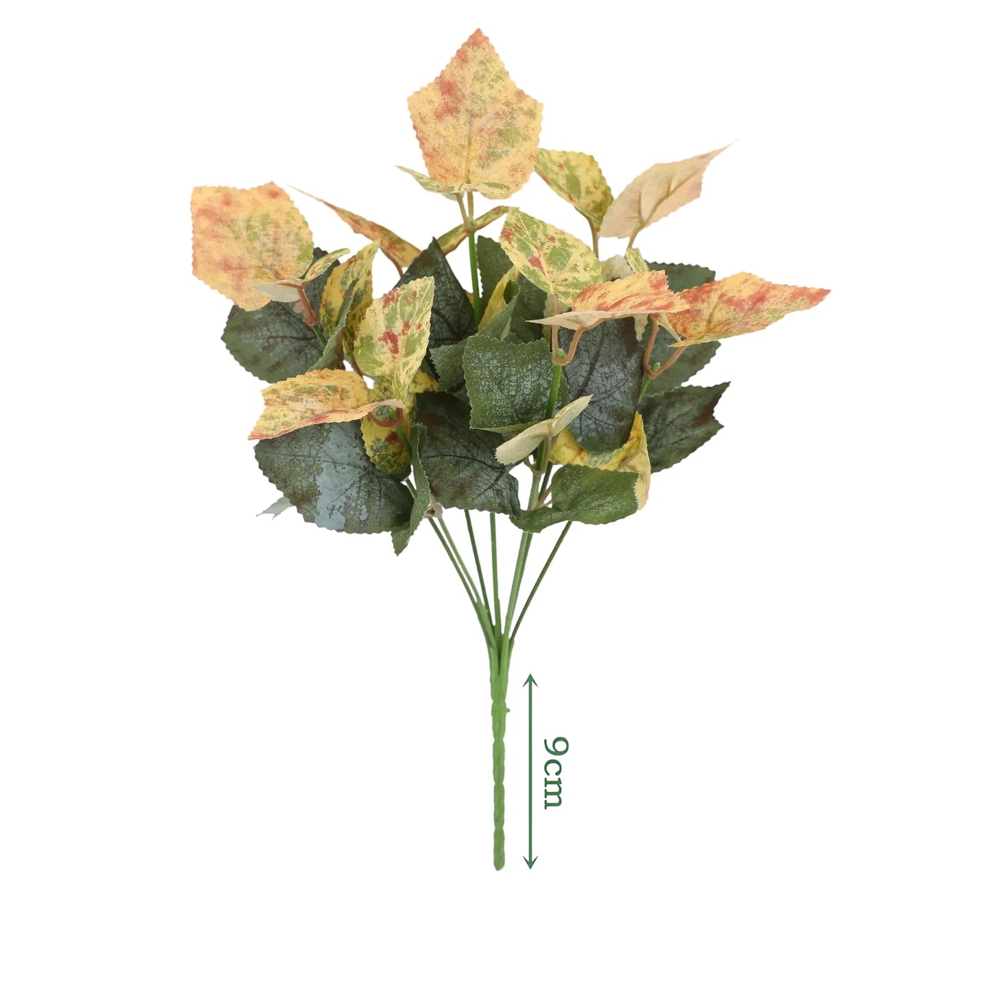 cleaned variant image