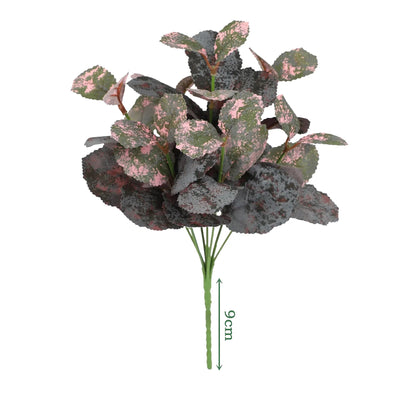 Cleaned variant image