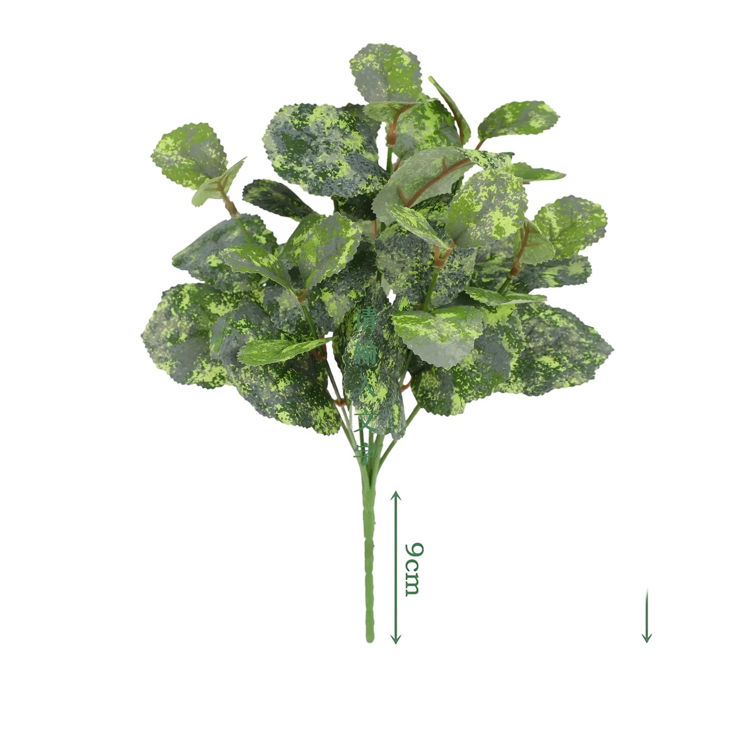 cleaned variant image