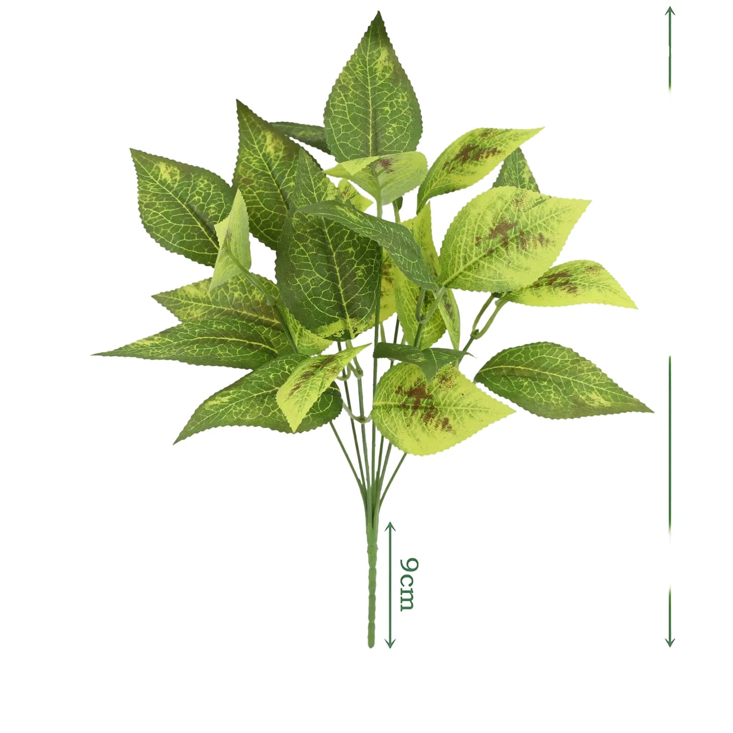 cleaned variant image