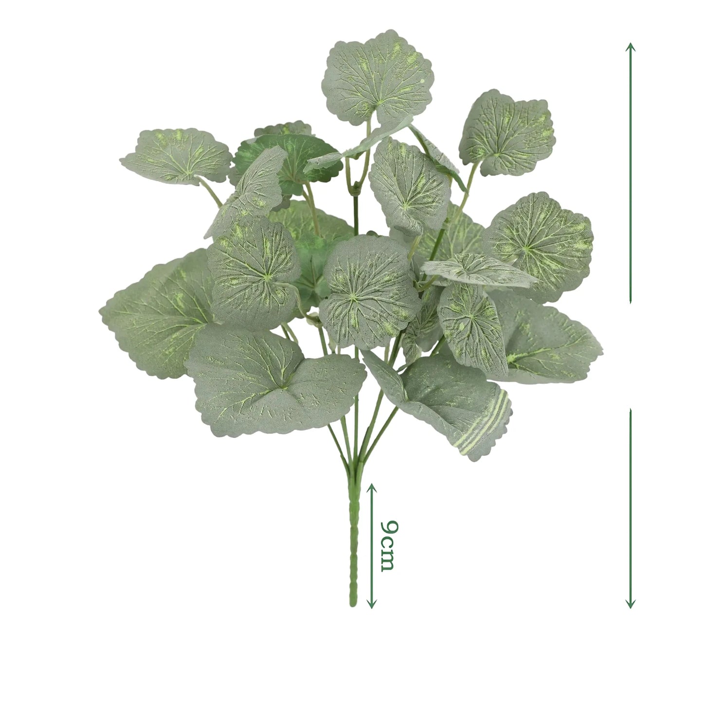 cleaned variant image