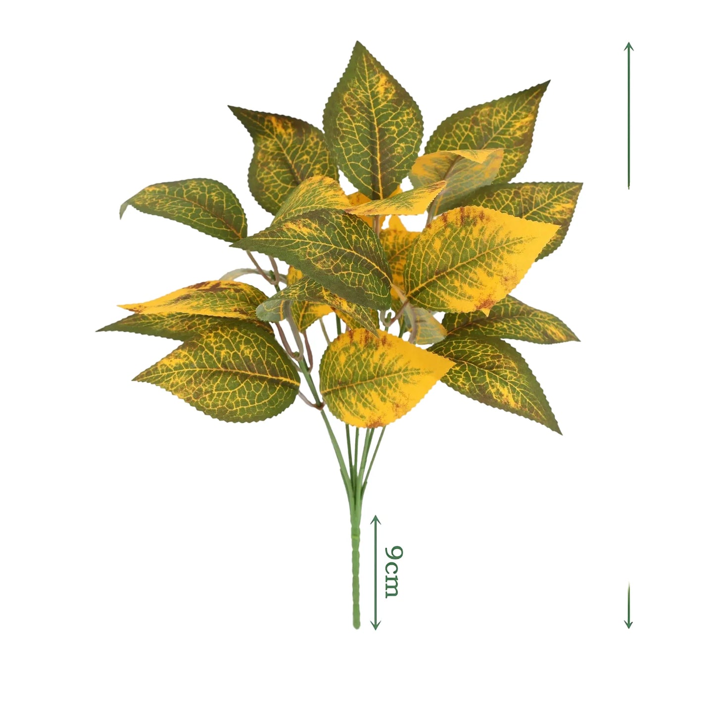 cleaned variant image