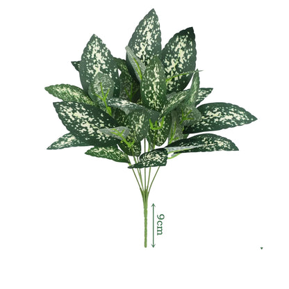 Cleaned variant image