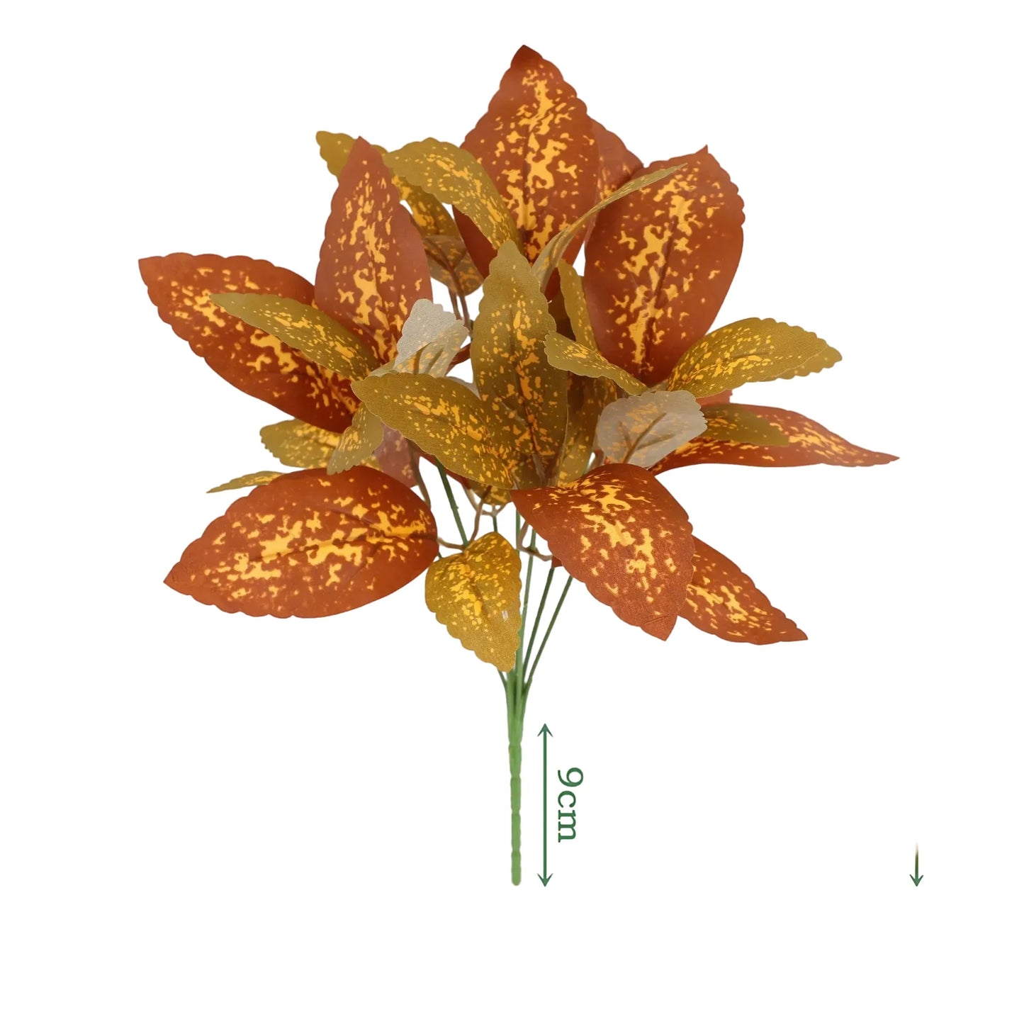 cleaned variant image