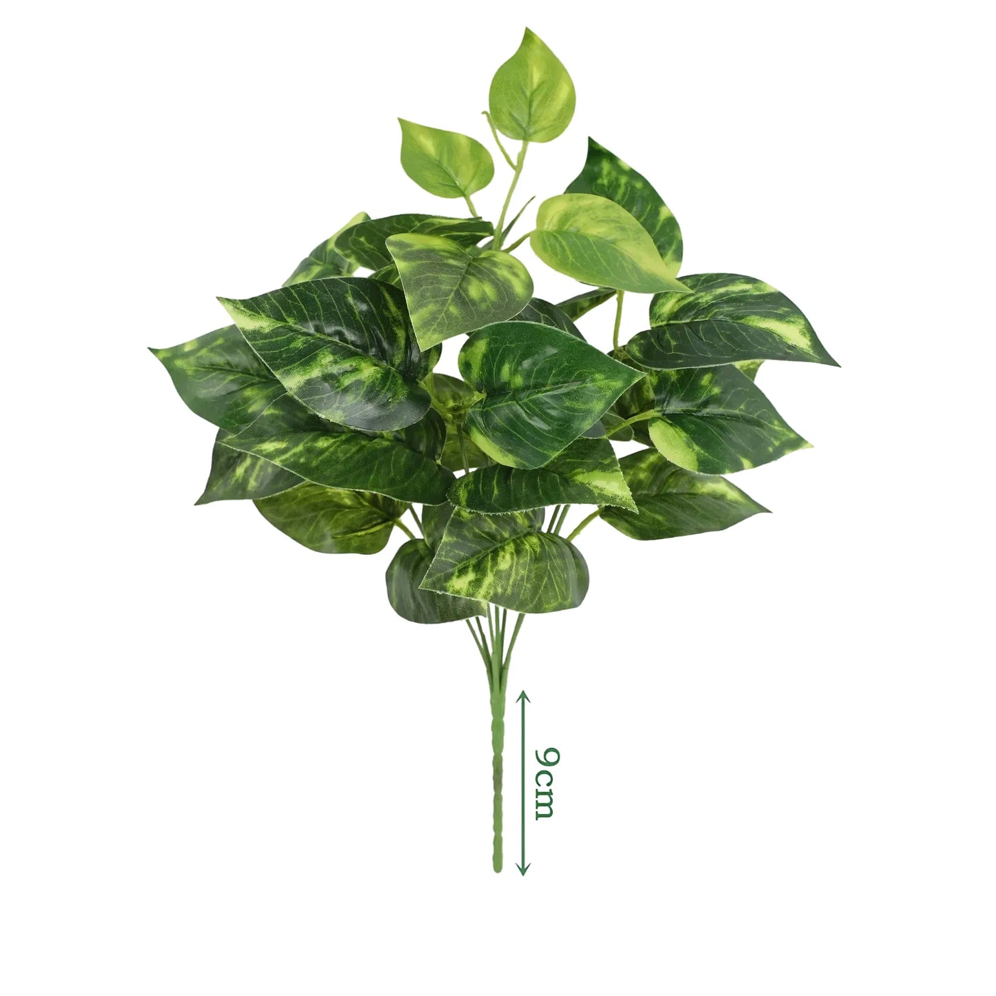 cleaned variant image