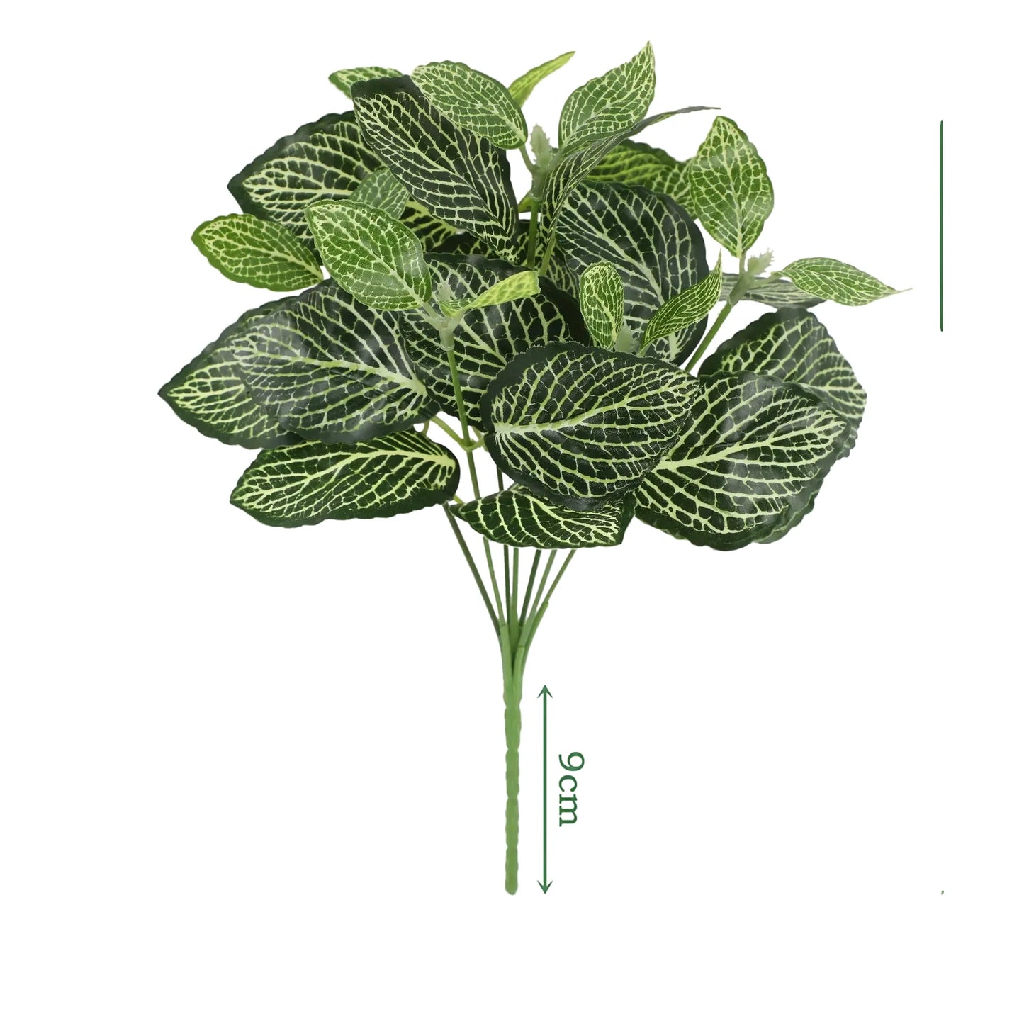 cleaned variant image