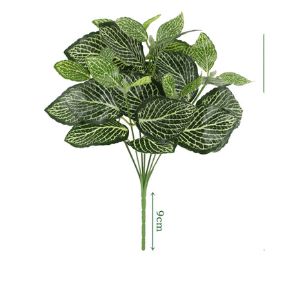 Cleaned variant image