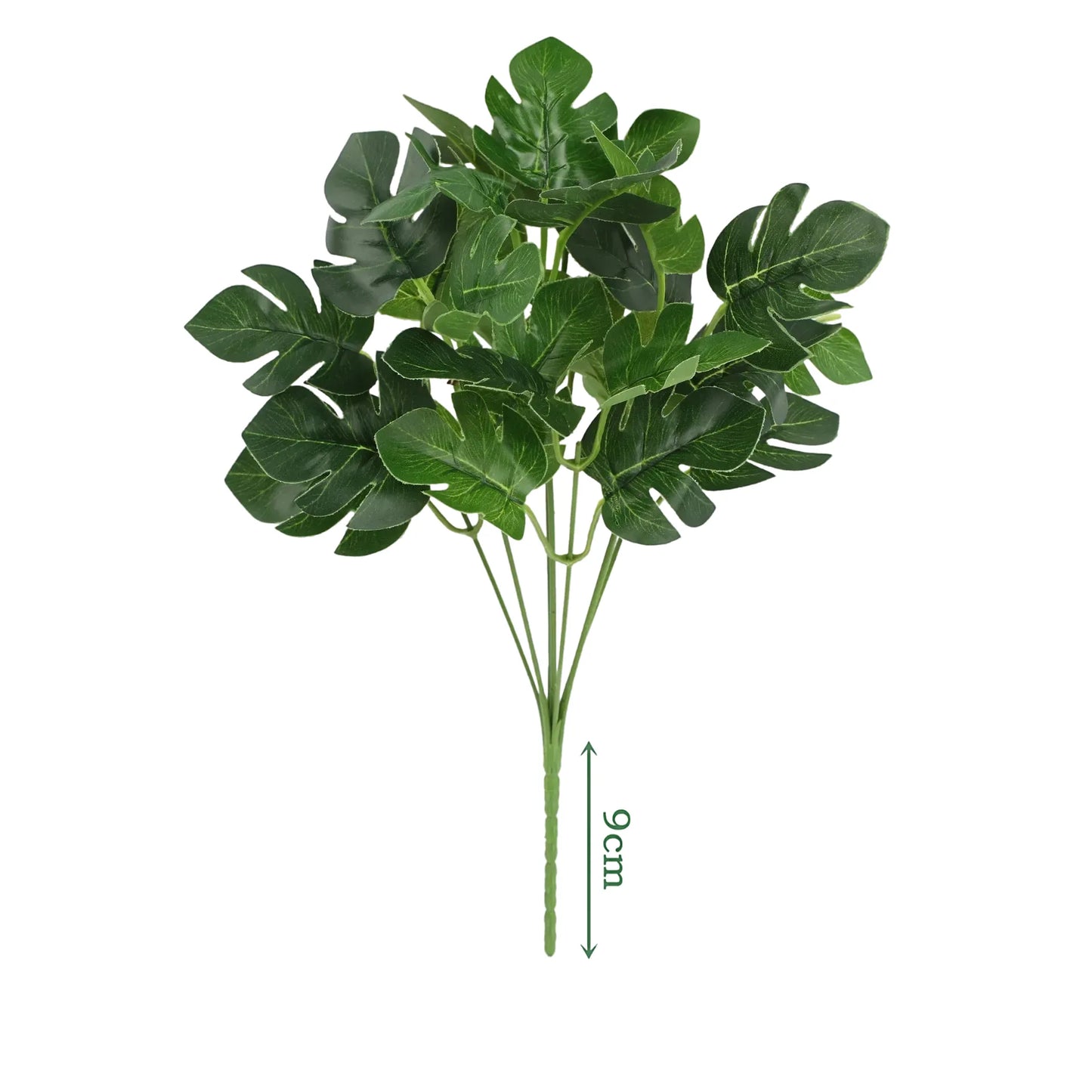 cleaned variant image