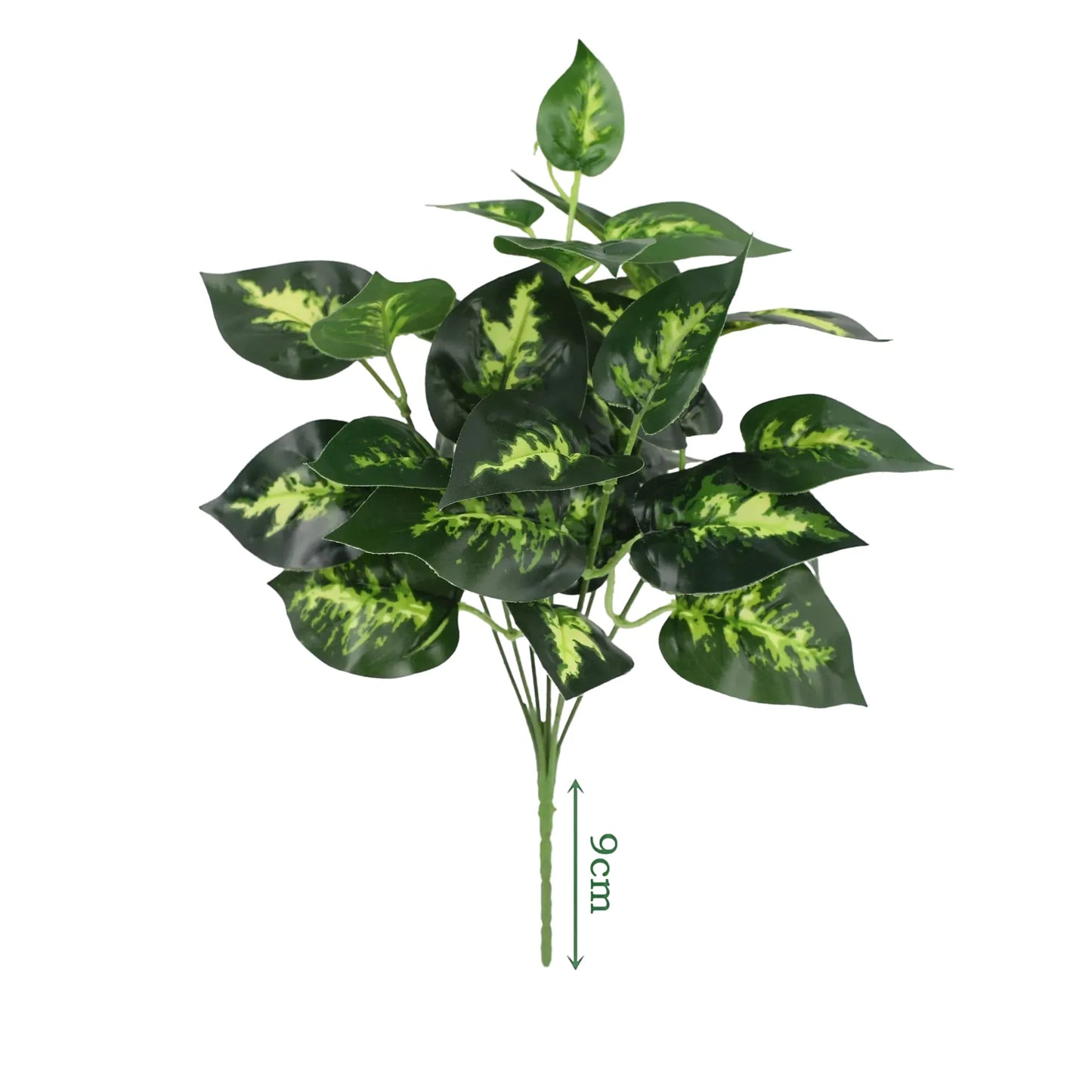 cleaned variant image