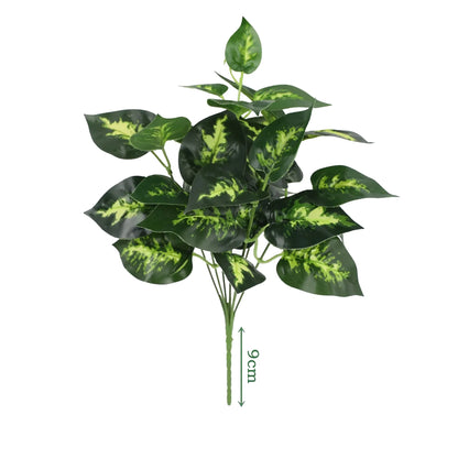 Cleaned variant image