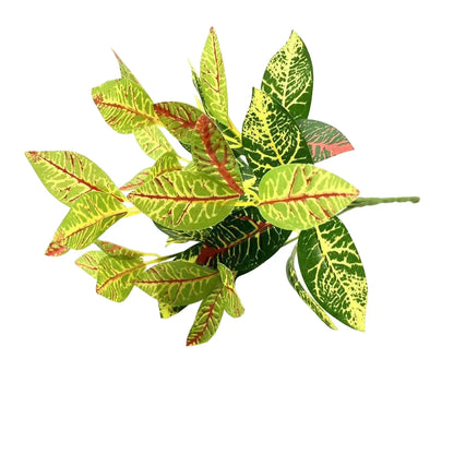 Cleaned variant image