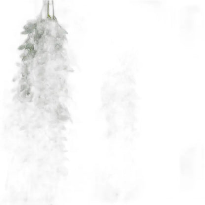 Cleaned variant image