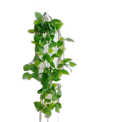 Cleaned variant image