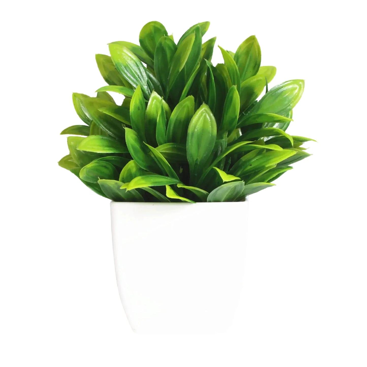 cleaned variant image